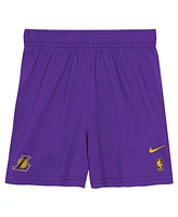 Nike Big Boys and Girls 2-Piece Purple Los Angeles Lakers Practice T-Shirt Shorts Set