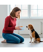 P.t. Supply Co. Abstract Bubble Shaped Stoneware Elevated Pet Bowl, Raised Ceramic Food & Water Dish for Dogs and Cats