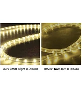DELight 150' 2 Wire Led Rope Light Home In/Outdoor Party Xmas Lighting