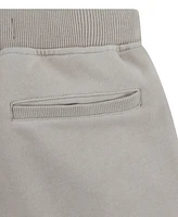 Levi's Big Boys Lived Shorts