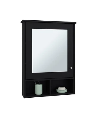 Anamoose Medicine Cabinet with 5 Shelves, 1 Door, and 1 Mirror