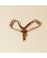 Kandog Roma Harness