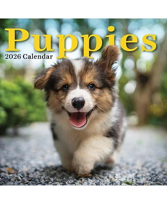 2026 Puppies Wall Calendar
