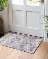 Addison Chantille ACN1379 1'8"x2'6" Area Rug