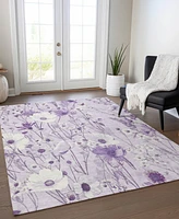 Addison Chantille ACN1501 3'x5' Area Rug