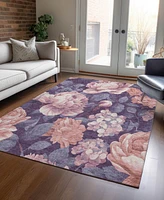 Addison Chantille Machine Washable ACN1567 5'x7'6" Area Rug