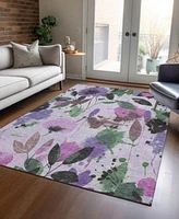 Addison Chantille Machine Washable Acn1552 Area Rug Collection