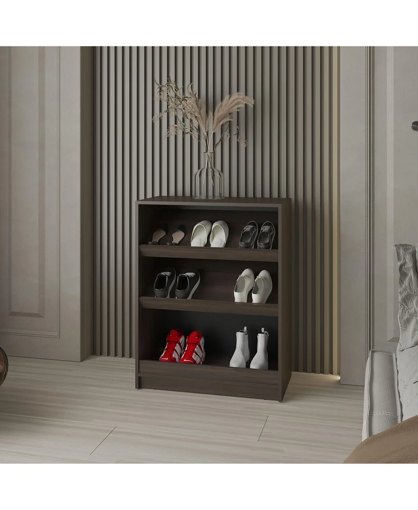 Oatman Shoe Rack with Open Storage, Wengue
