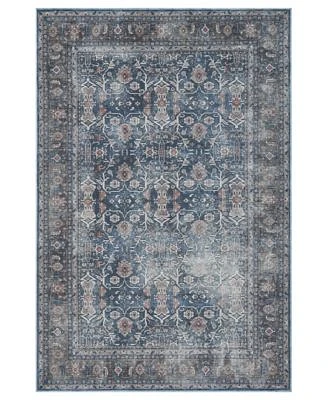 Amer Rugs Alaska Machine Washable Ala5 Rug Collection
