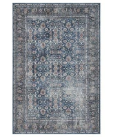 Amer Rugs Alaska Machine Washable Ala5 Rug Collection
