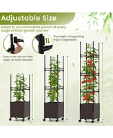 Raised Garden Bed with Plant Box Trellis and Lockable Wheels Adjustable Height