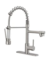 Greenspring Single-Handle Pull-Down Sprayer 2 Spray High Arc Kitchen Faucet With Deck Plate Brushed Nickel