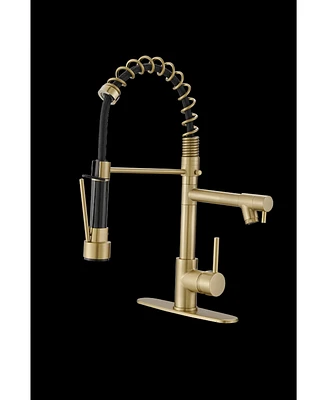 Greenspring Single-Handle Pull-Down Sprayer 2 Spray High Arc Kitchen Faucet With Deck Plate Brushed Nickel