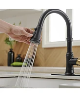 Single-Handle Pull-Down Sprayer 3 Spray High Arc Kitchen Faucet With Deck Plate Oil Gold&Black