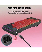 Risokeys 60% Wired Mechanical Keyboard, Mini Gaming Keyboard with 61 Keys for Pc, Windows Xp, Win 7, Win 10
