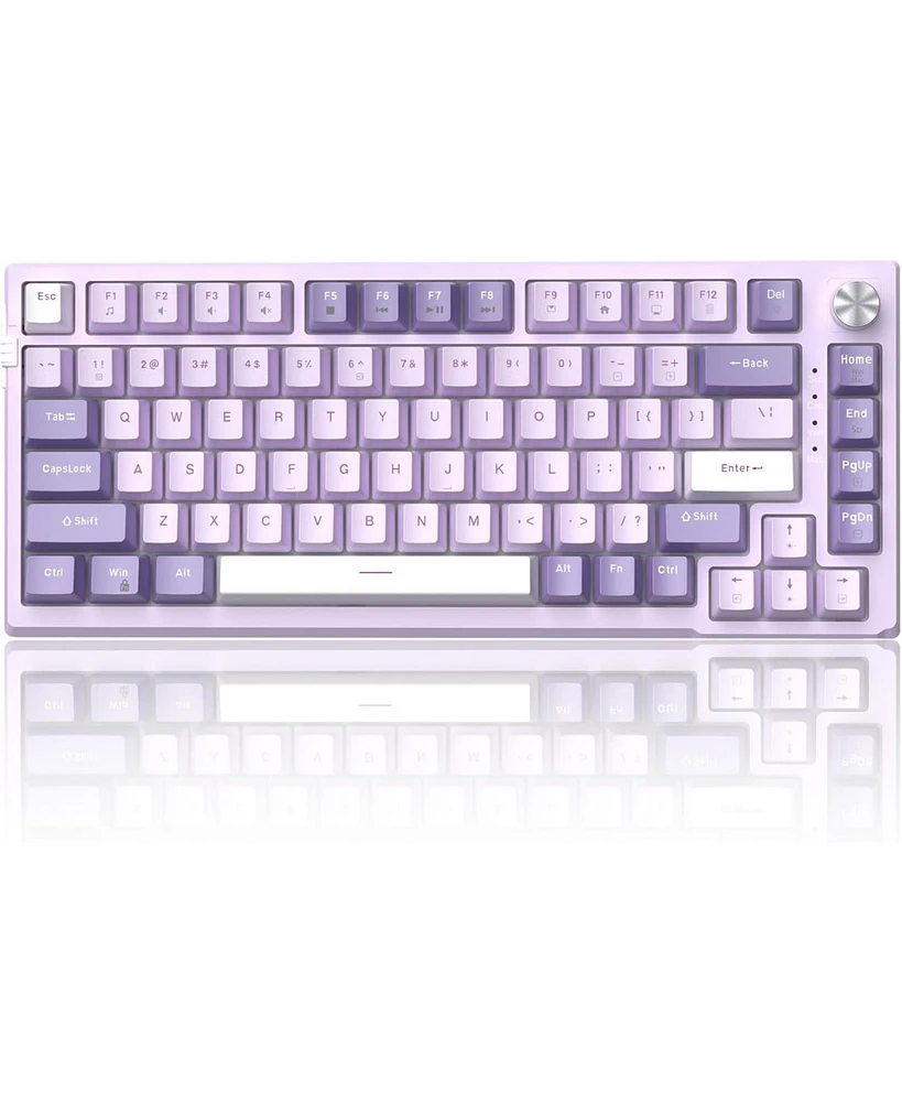 Risokeys 75% Mechanical Gaming Keyboard, Gasket Hot Swappable Wired Custom Creamy Keyboard with 5-Layer Sound Dampening, Knob Control, Rgb Backlit, Nk