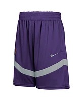 Nike Big Boys and Girls Purple Phoenix Suns Practice Mesh Shorts