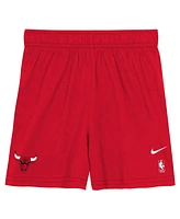 Nike Big Boys and Girls 2-Piece Red/Black Chicago Bulls Practice T-Shirt Shorts Set