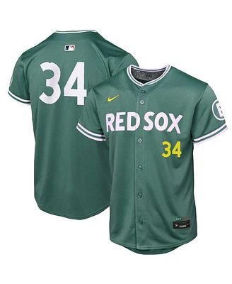 Nike Big Boys and Girls David Ortiz Green Boston Red Sox 2025 City Connect Limited Retired Player Jersey