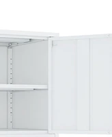 Manhattan Comfort 23.6" Steel Ava Modern 2-Shelf Accent Cabinet