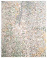 Feizy Jaxson 39saf Rug Collection