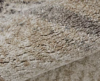 Feizy Skyview 39QAF 7'10"x10' Area Rug