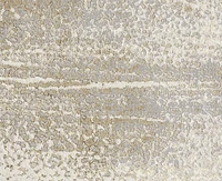 Feizy Aura 3739F 3'11"x6' Area Rug