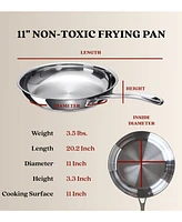 Alva Chef 11" Stainless Steel Frying Pan - Non-Toxic Pfas/Pfoa/Ptfe Free, Stay-Cool Handle - Induction Ready - Oven & Dishwasher Safe