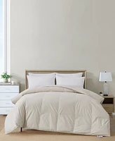 Nikki Chu 250-Thread Count Down Comforter, King - Soft Clay