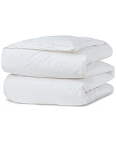 Avocado 500-Thread Count Down Comforter