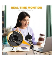 ZealSound k66 + k08 Gold Microphone Bundle