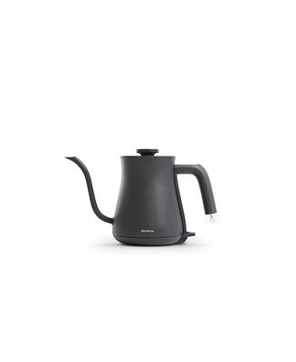Balmuda Electric Gooseneck Kettle