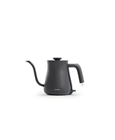Balmuda Electric Gooseneck Kettle