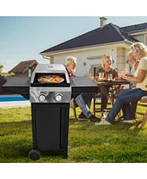 Mondawe 2 Burner 24,600 Btu Gas Grill with Pizza Oven and wheels