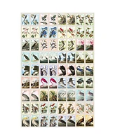 Masterpieces Audubon Memory Game