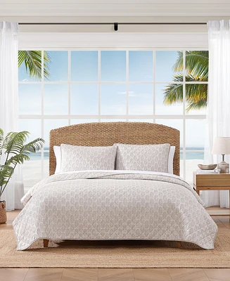 Tommy Bahama Fronds Cotton Reversible 3-Pc. Quilt Set