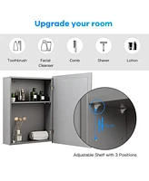 Volenca Mirrored Bathroom Medicine Cabinet with Single Door and Adjustable Shelf