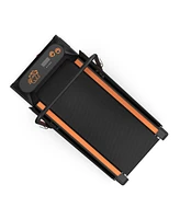 Streamdale Furniture Dog Treadmill - Small & Medium Dogs - Run & Walk