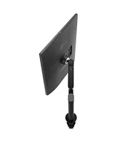 Lg 28 inch Sdqhd 16:18 DualUp Monitor with Ergo Stand