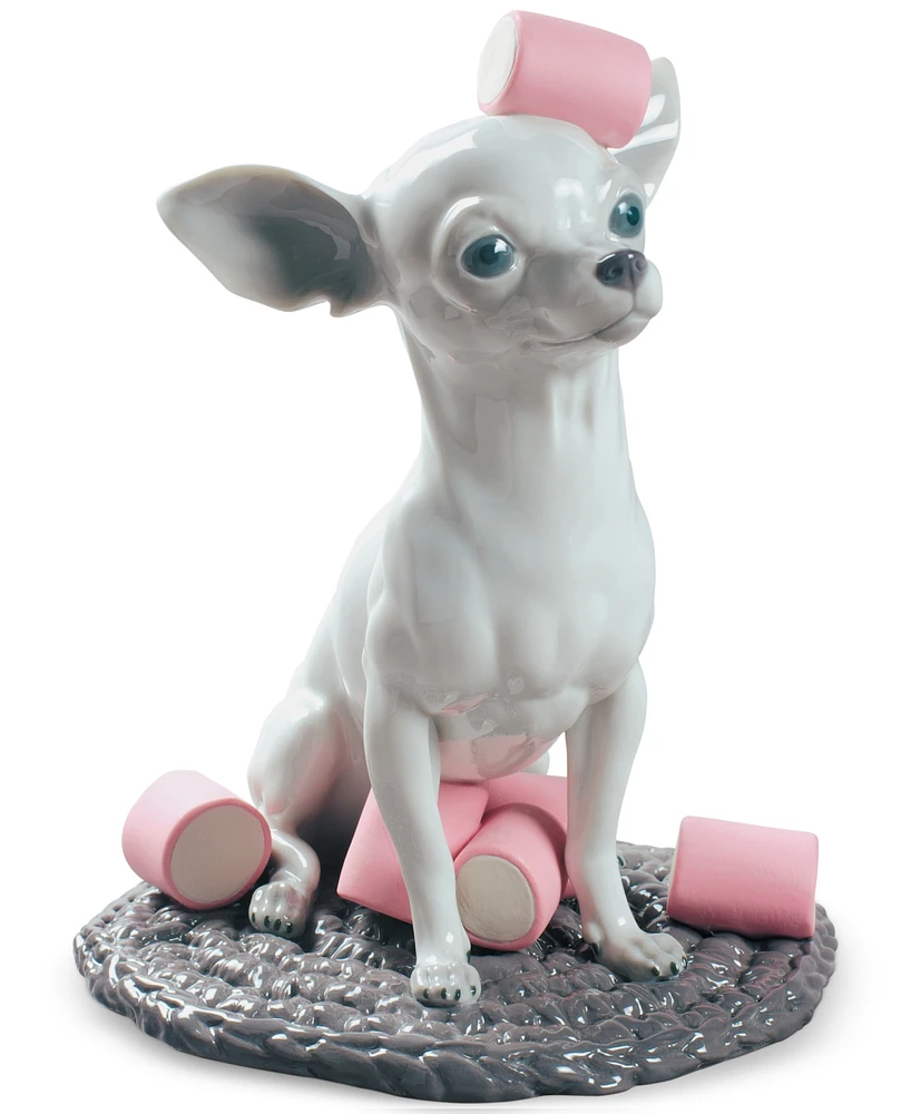 Lladro Chihuahua with Marshmallows Figurine