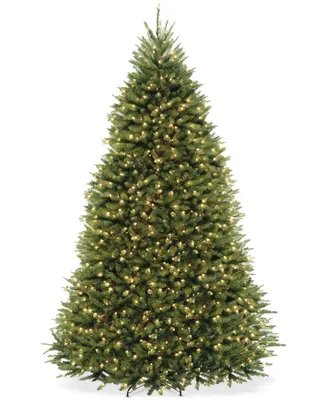 National Tree Company 9' Dunhill Fir Full-Bodied & Hinged Tree With 900 Clear Lights