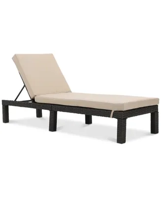 Logan Outdoor Chaise Lounge