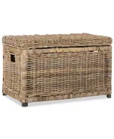 Jonathan Y Happimess Elijah 30'' Wicker Storage Trunk