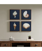 Madison Park Ocean Seashells 4-Pc. Framed Canvas Print Set