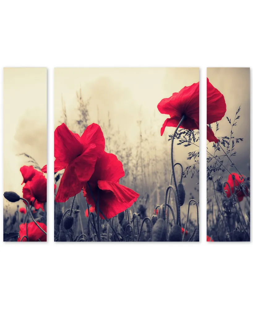 Philippe Sainte-Laudy 'Red For Love' Multi Panel Art Set Large