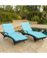 Hayden Outdoor Chaise Lounge (Set Of 2)