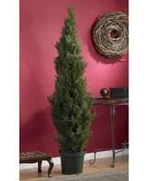 Nearly Natural 6' Indoor/Outdoor Artificial Mini Cedar Pine Tree