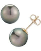 Black Cultured Tahitian Pearl (9mm) Stud Earrings in 14k Gold