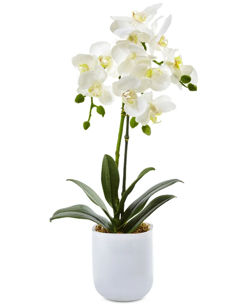 Nearly Natural Phalaenopsis Orchid in Frosted Glass