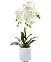 Nearly Natural Phalaenopsis Orchid in Frosted Glass